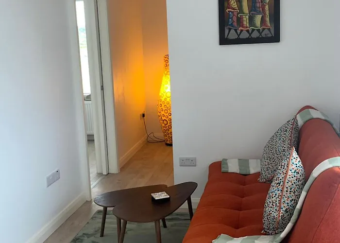 Andis Meadow 戈尔韦